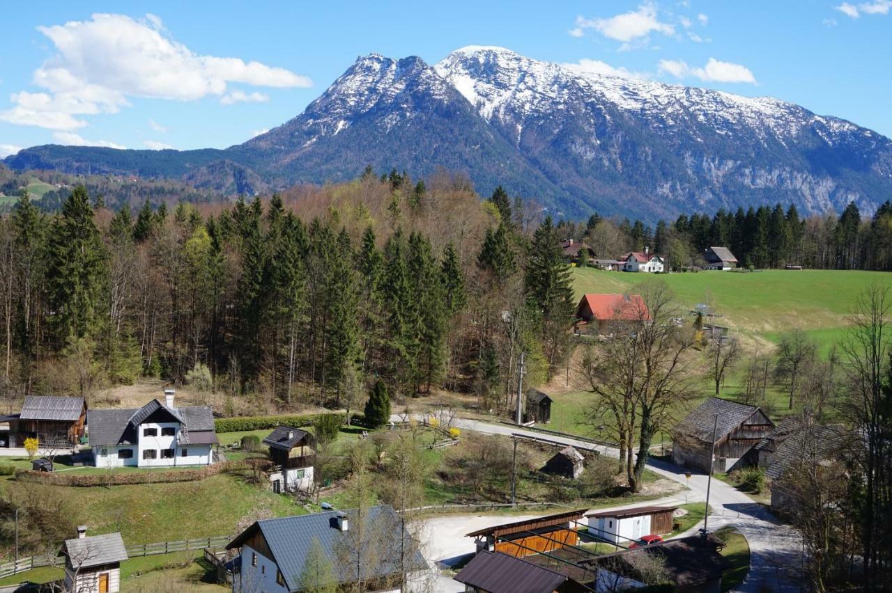 Apartments Helga Bad Goisern am Hallstättersee Exterior foto