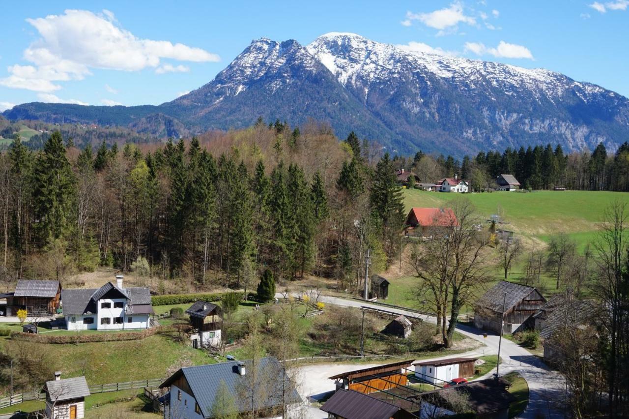 Apartments Helga Bad Goisern am Hallstättersee Exterior foto