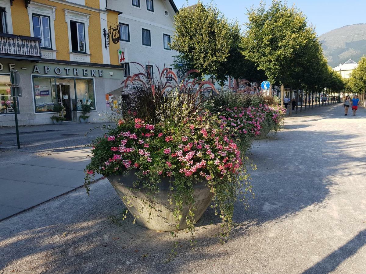 Apartments Helga Bad Goisern am Hallstättersee Exterior foto